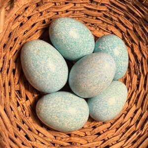 Speckled Wood Decorative Blue Eggs - Set of 6